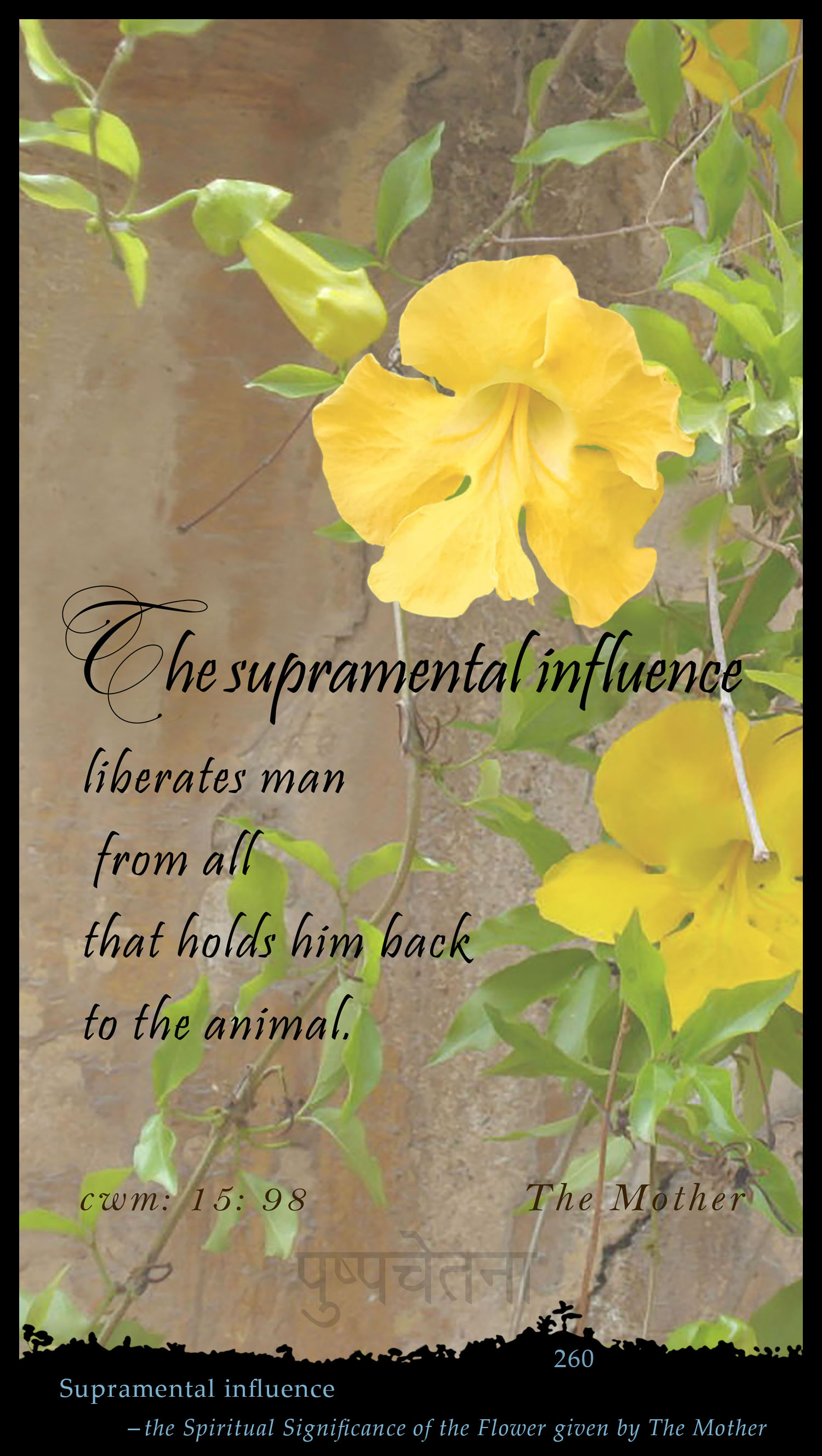 Supramental Influence